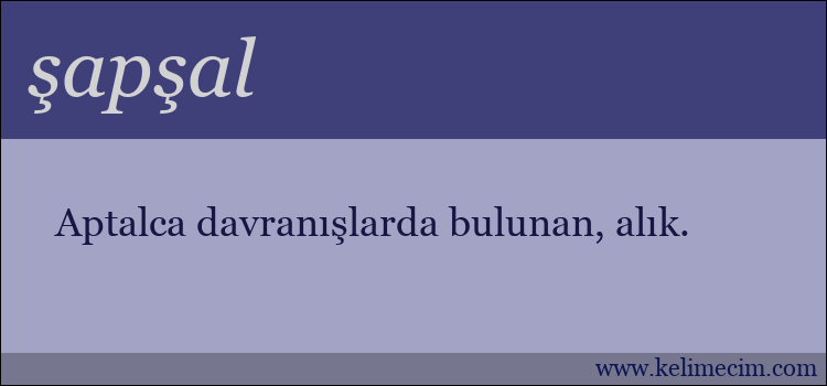 şapşal kelimesinin anlamı ne demek?