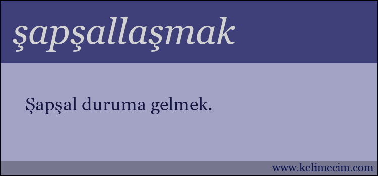 şapşallaşmak kelimesinin anlamı ne demek?