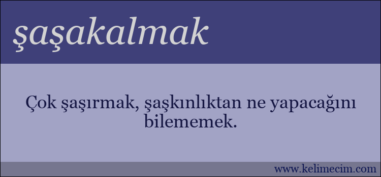 şaşakalmak kelimesinin anlamı ne demek?