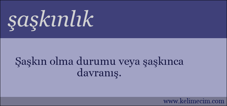 şaşkınlık kelimesinin anlamı ne demek?