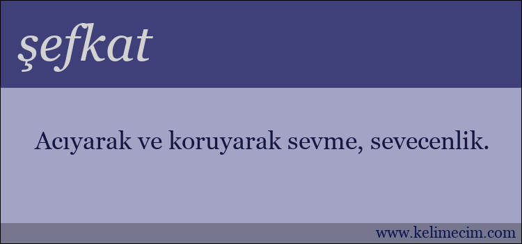 şefkat kelimesinin anlamı ne demek?