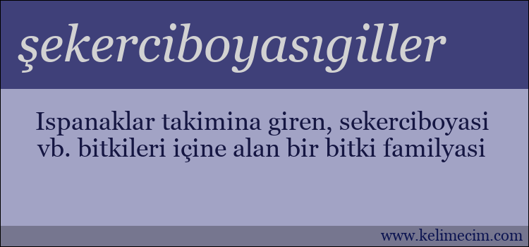 şekerciboyasıgiller kelimesinin anlamı ne demek?