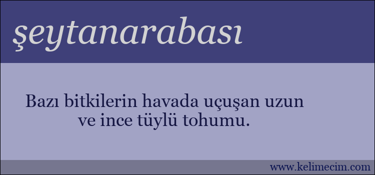 şeytanarabası kelimesinin anlamı ne demek?