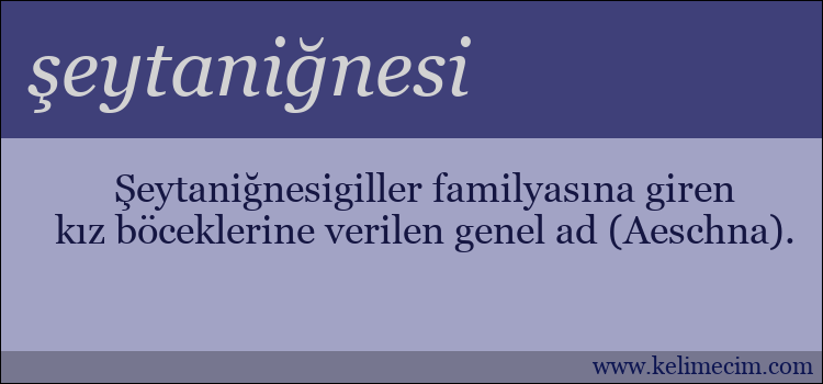 şeytaniğnesi kelimesinin anlamı ne demek?