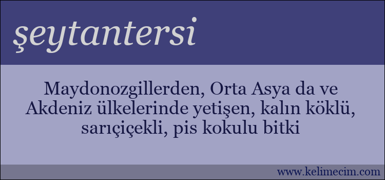 şeytantersi kelimesinin anlamı ne demek?