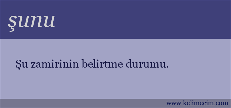 şunu kelimesinin anlamı ne demek?