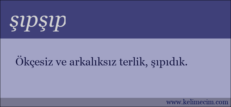 şıpşıp kelimesinin anlamı ne demek?