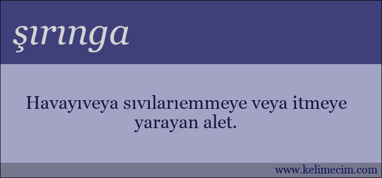 şırınga kelimesinin anlamı ne demek?