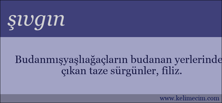 şıvgın kelimesinin anlamı ne demek?